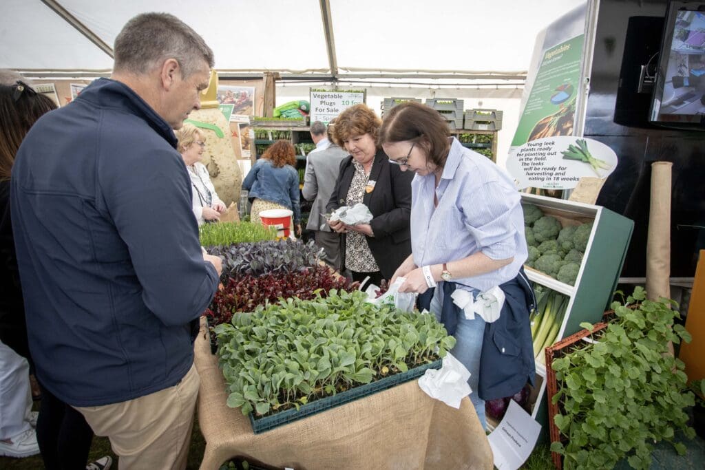 Busy time for arable and horticulture at the Balmoral Show